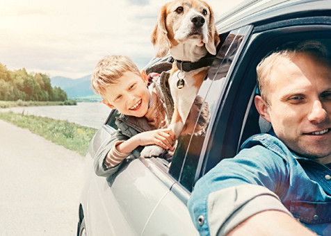 Une famille et un chien regardent par la fenêtre d'une voiture en mouvement